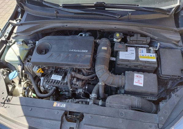 Kia XCeed cena 85000 przebieg: 63800, rok produkcji 2020 z Włoszczowa małe 106
